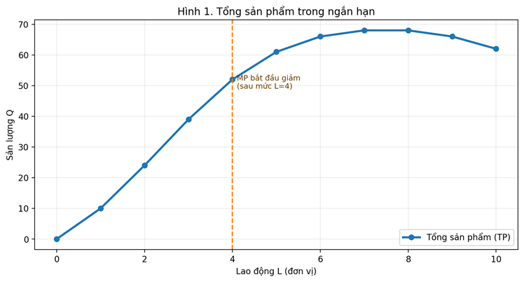Đường tổng sản phẩm trong ngắn hạn tăng nhanh rồi tăng chậm và có thể giảm khi lao động quá nhiều.