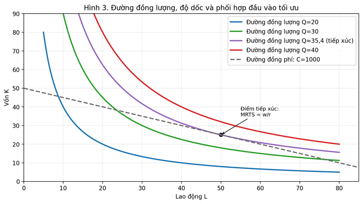 Đường đồng lượng Q bằng 20, 30, 40 và một đường đồng phí tiếp xúc với đường đồng lượng tại điểm tối ưu.