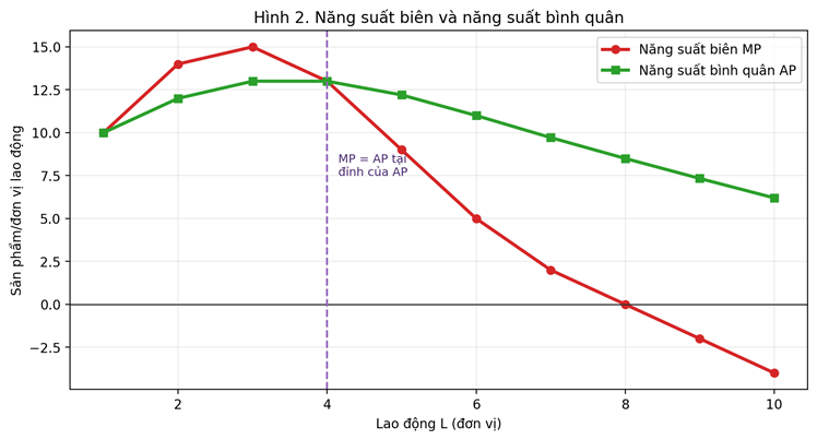 Đồ thị năng suất biên MP và năng suất bình quân AP, cho thấy MP cắt AP tại điểm AP đạt cực đại.
